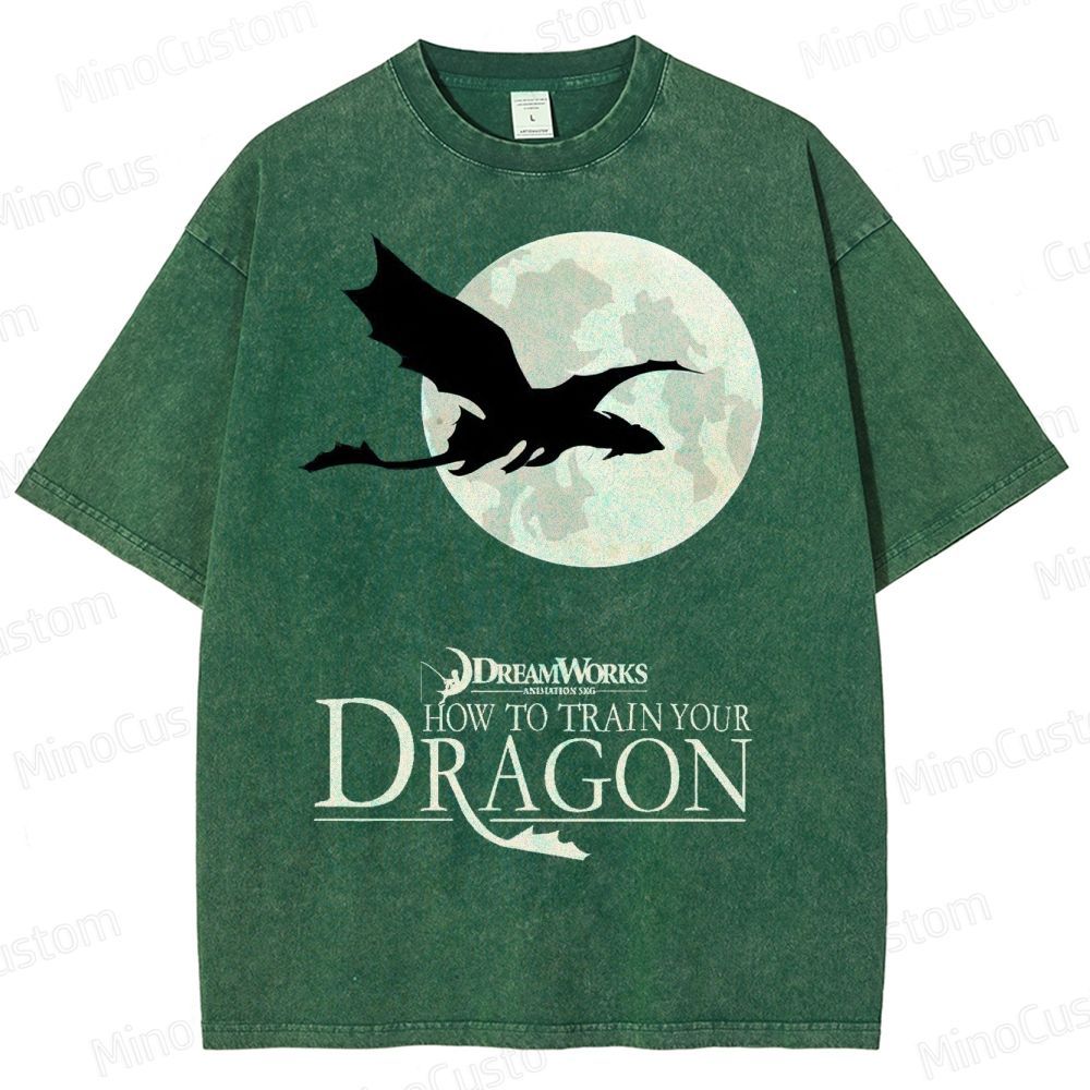 "How to Train Your Dragon" Moonlight Silhouette Washed T-Shirt