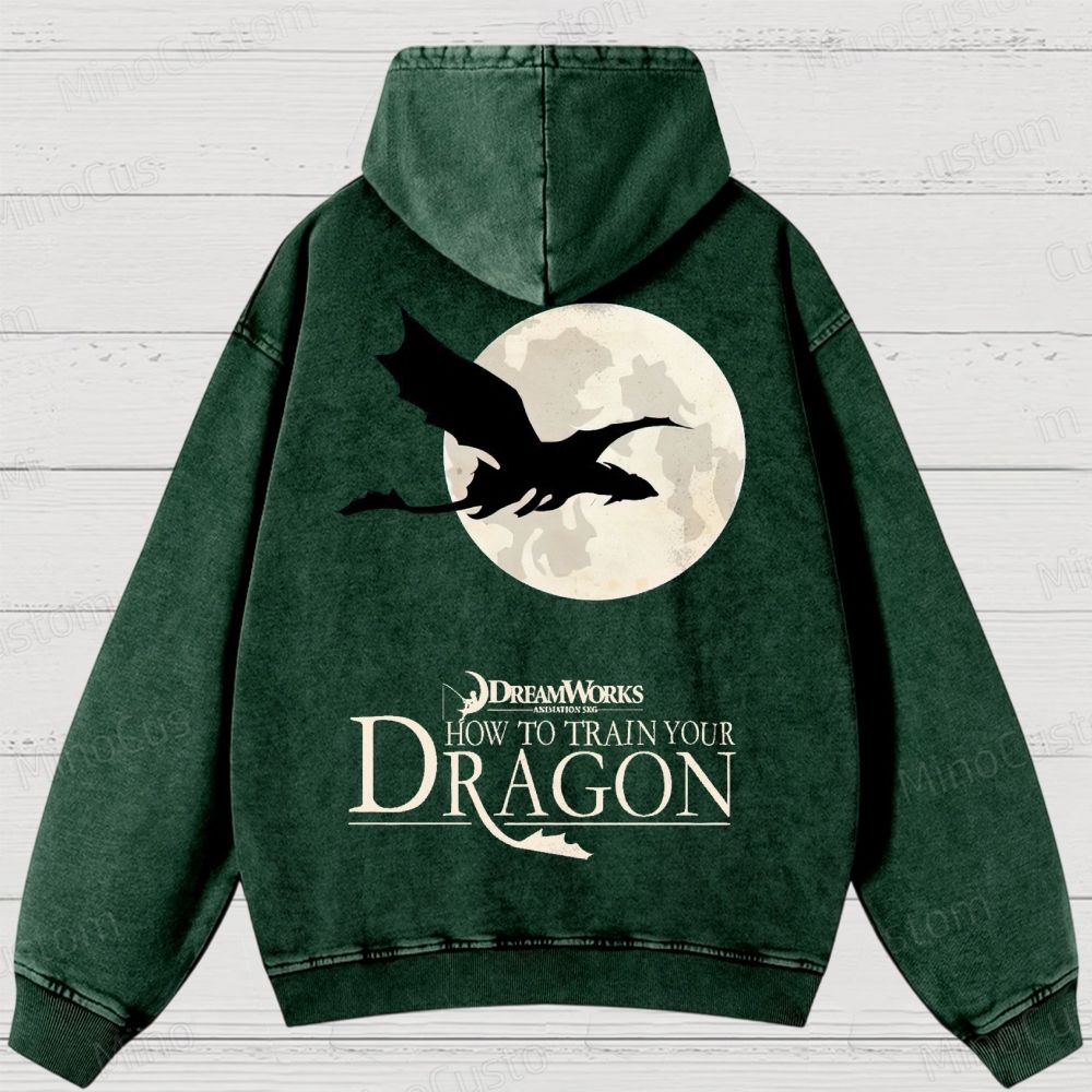 "How to Train Your Dragon" Moonlight Silhouette Washed Hoodies