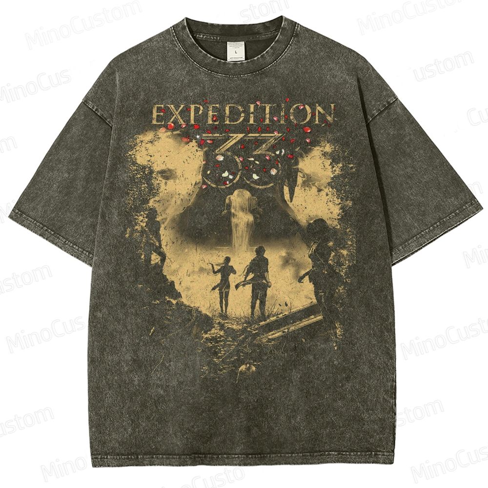 Clair Obscur Expedition 33 Washed T-Shirt 