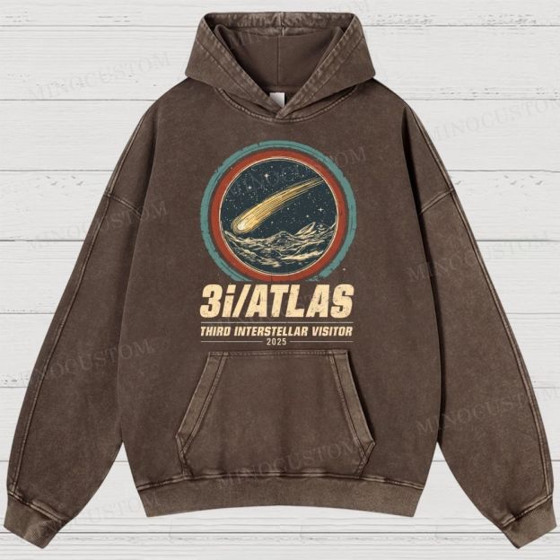 3I/ATLAS Interstellar Visitor 2025 Washed Hoodies 