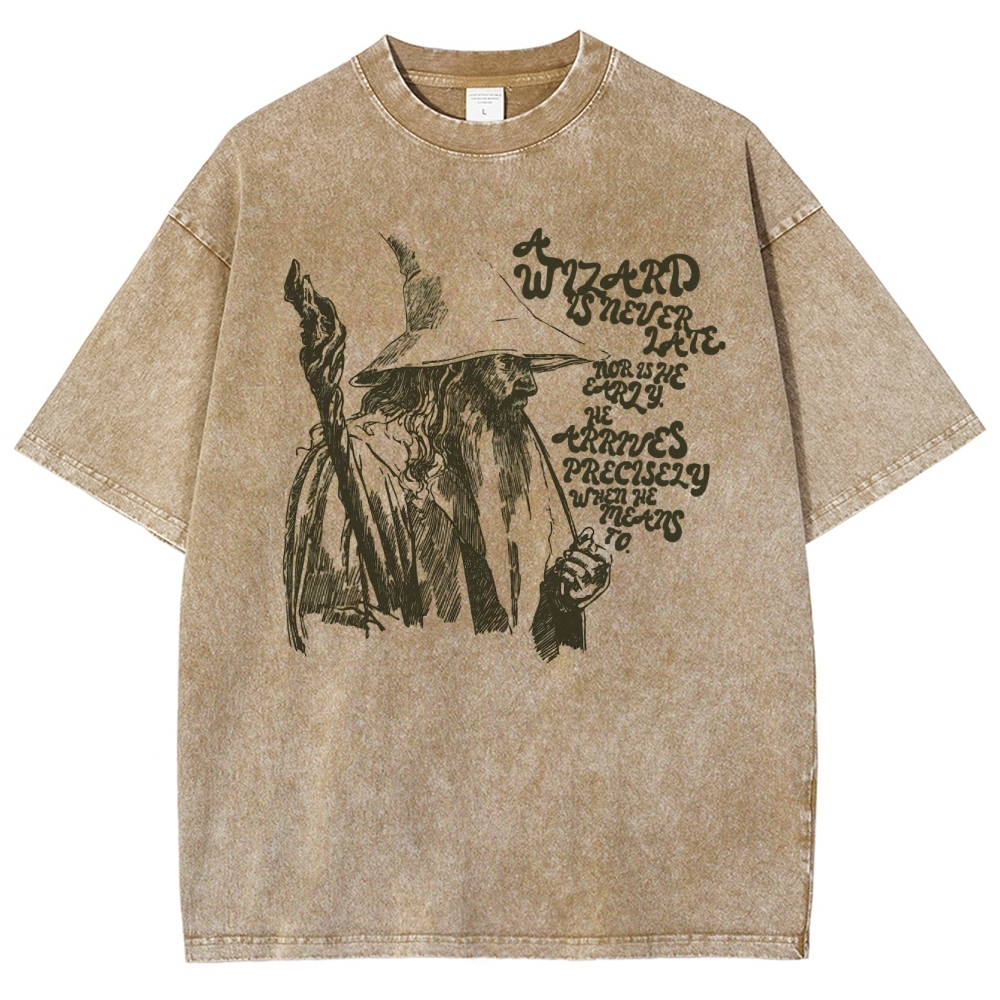 The Wizard Arrives Washed T-Shirt 