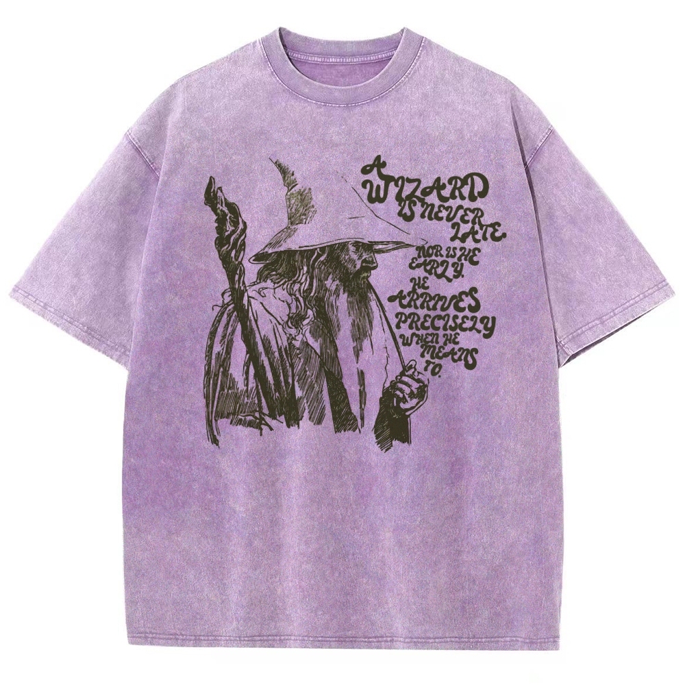 The Wizard Arrives Washed T-Shirt 