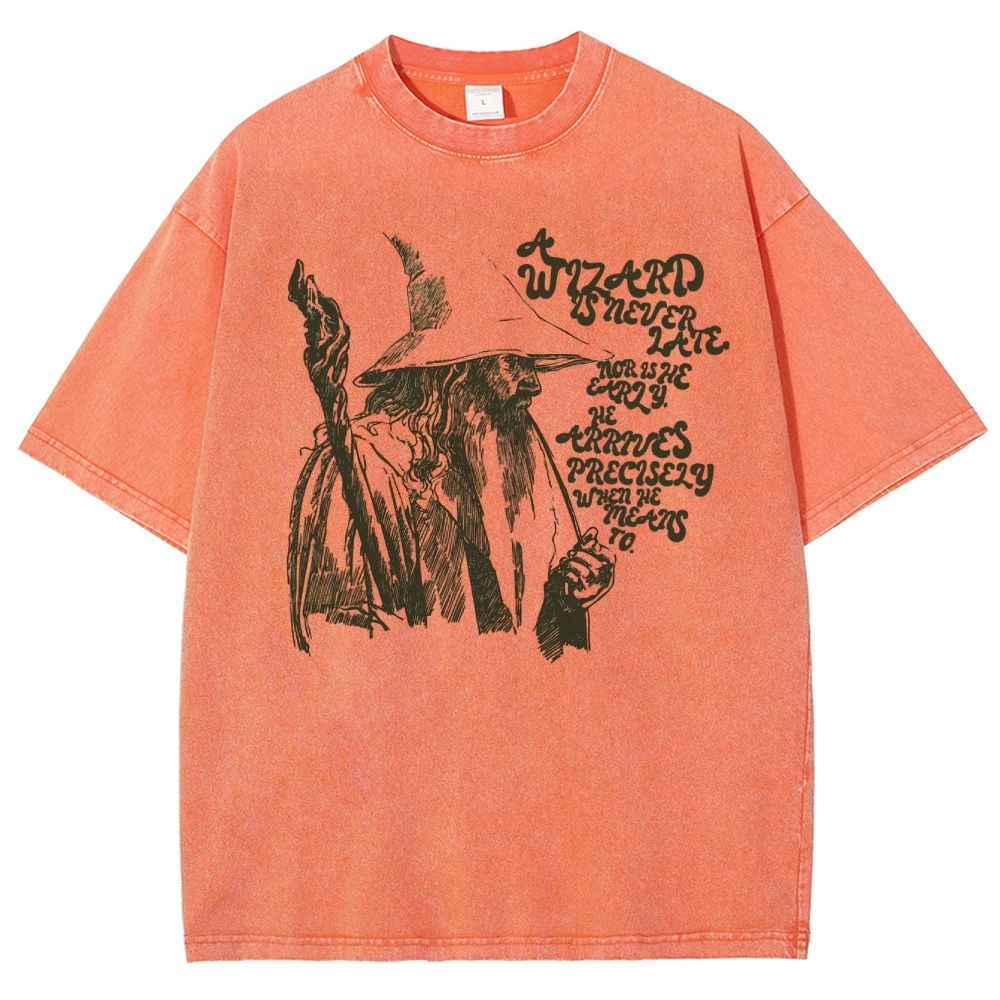 The Wizard Arrives Washed T-Shirt 