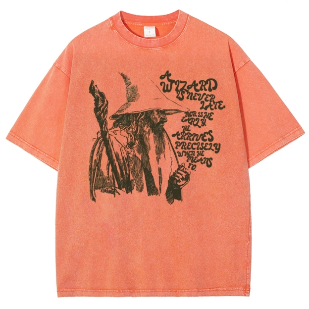 The Wizard Arrives Washed T-Shirt 