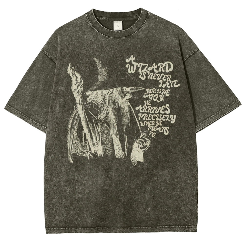 The Wizard Arrives Washed T-Shirt 