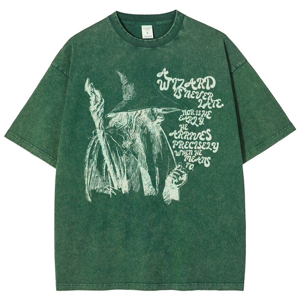 The Wizard Arrives Washed T-Shirt 