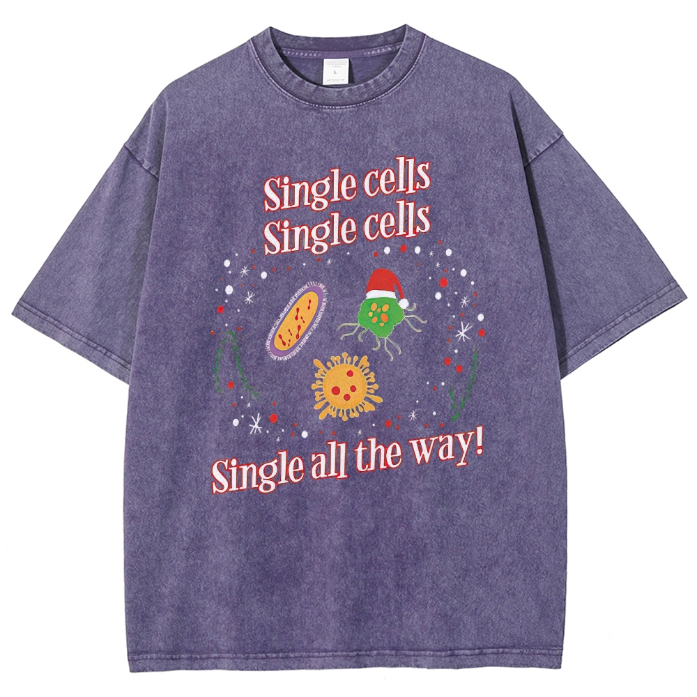 Playful Science Holiday: Single Cells Festive Graphic Washed T-Shirt