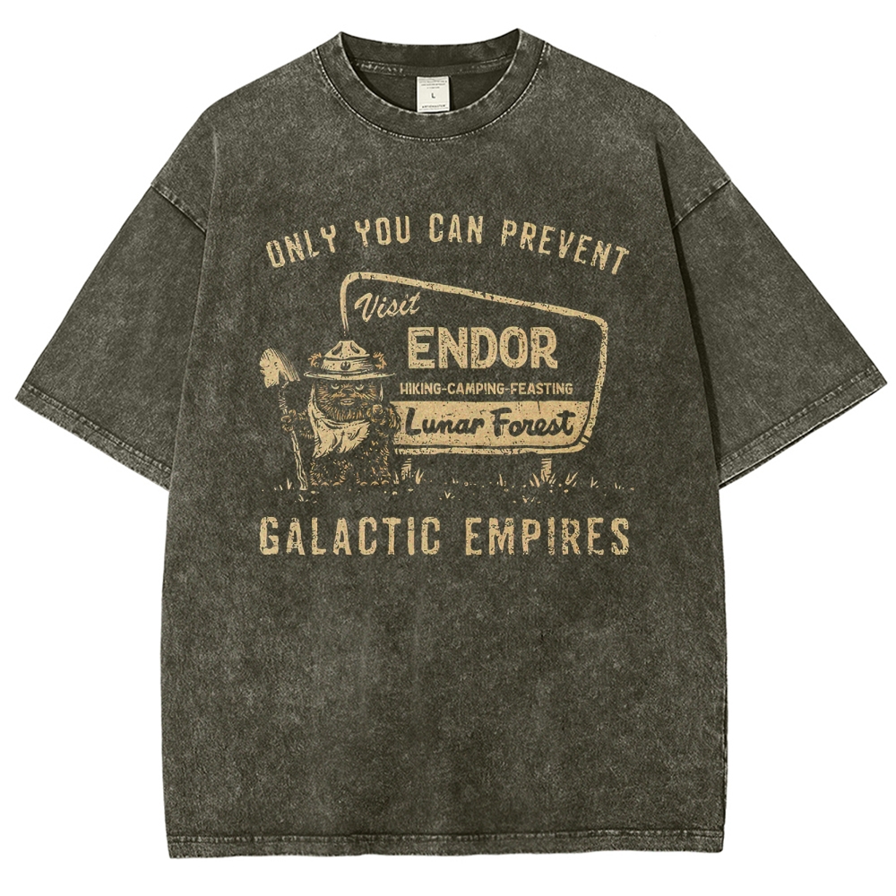 Vintage Endor Travel-Themed Graphic Washed T-Shirt
