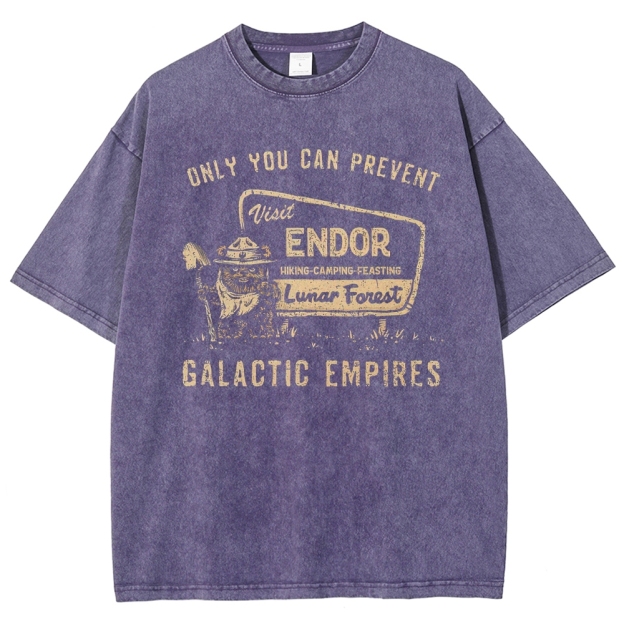 Vintage Endor Travel-Themed Graphic Washed T-Shirt