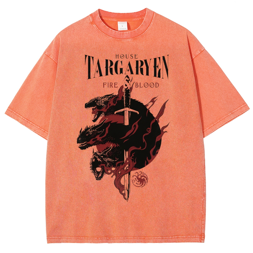 Epic Dragon Crest Sword and Flame Washed T-Shirt 