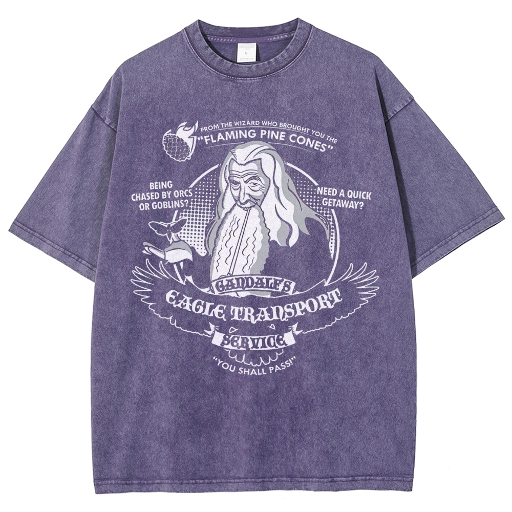 Gandalf's Eagle Transport Service Graphic Washed T-Shirt