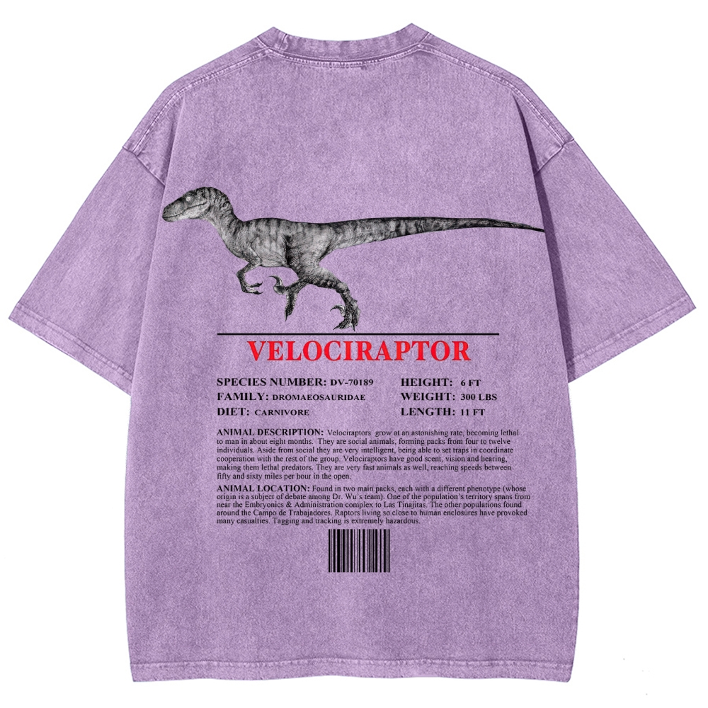 Velociraptor Field Log Scientific Graphic Washed T-Shirt