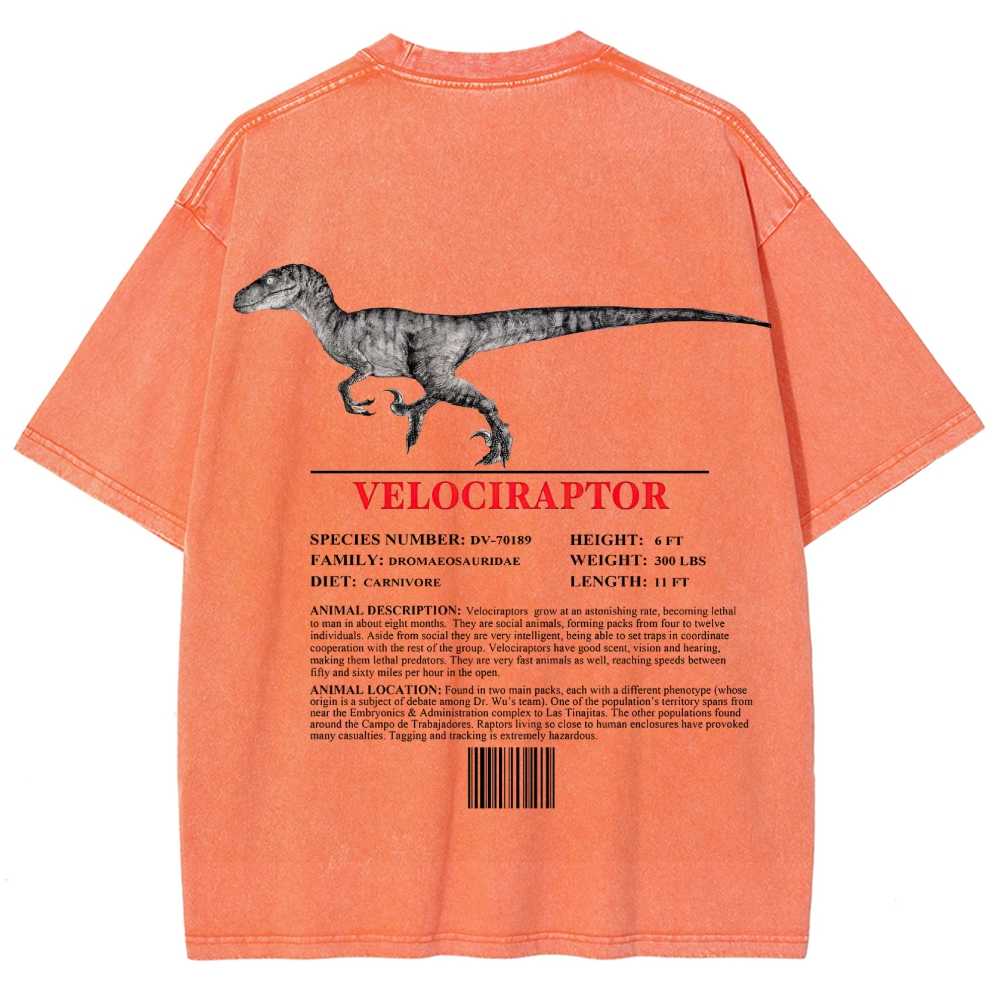 Velociraptor Field Log Scientific Graphic Washed T-Shirt