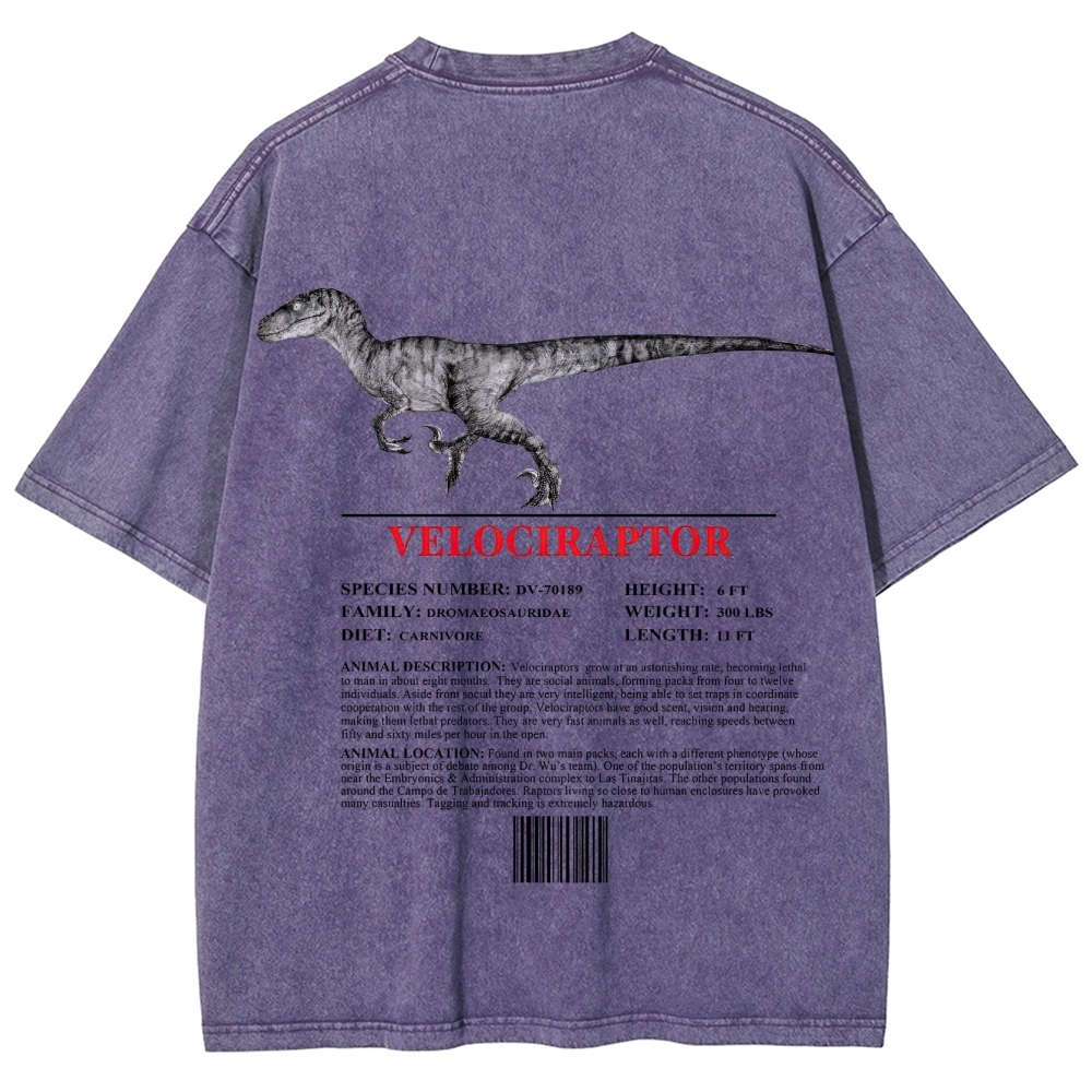 Velociraptor Field Log Scientific Graphic Washed T-Shirt