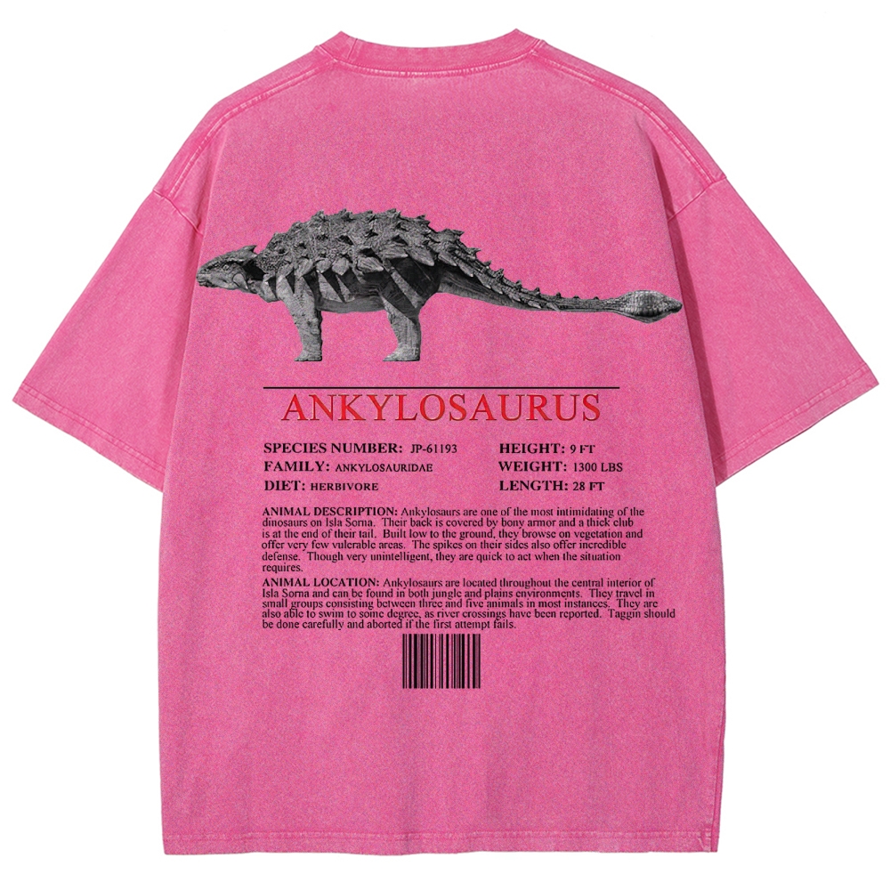 Ankylosaurus Armored Dinosaur Field Log Graphic Washed T-Shirt