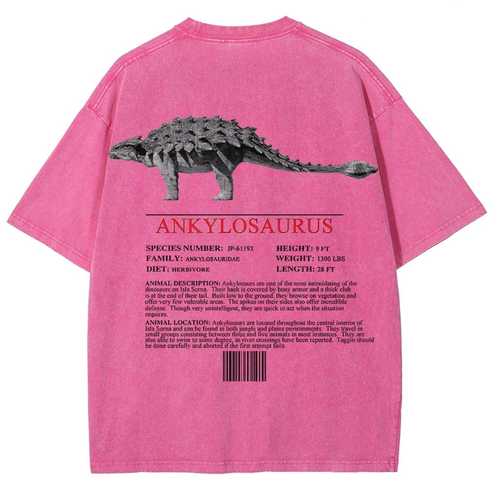 Ankylosaurus Armored Dinosaur Field Log Graphic Washed T-Shirt