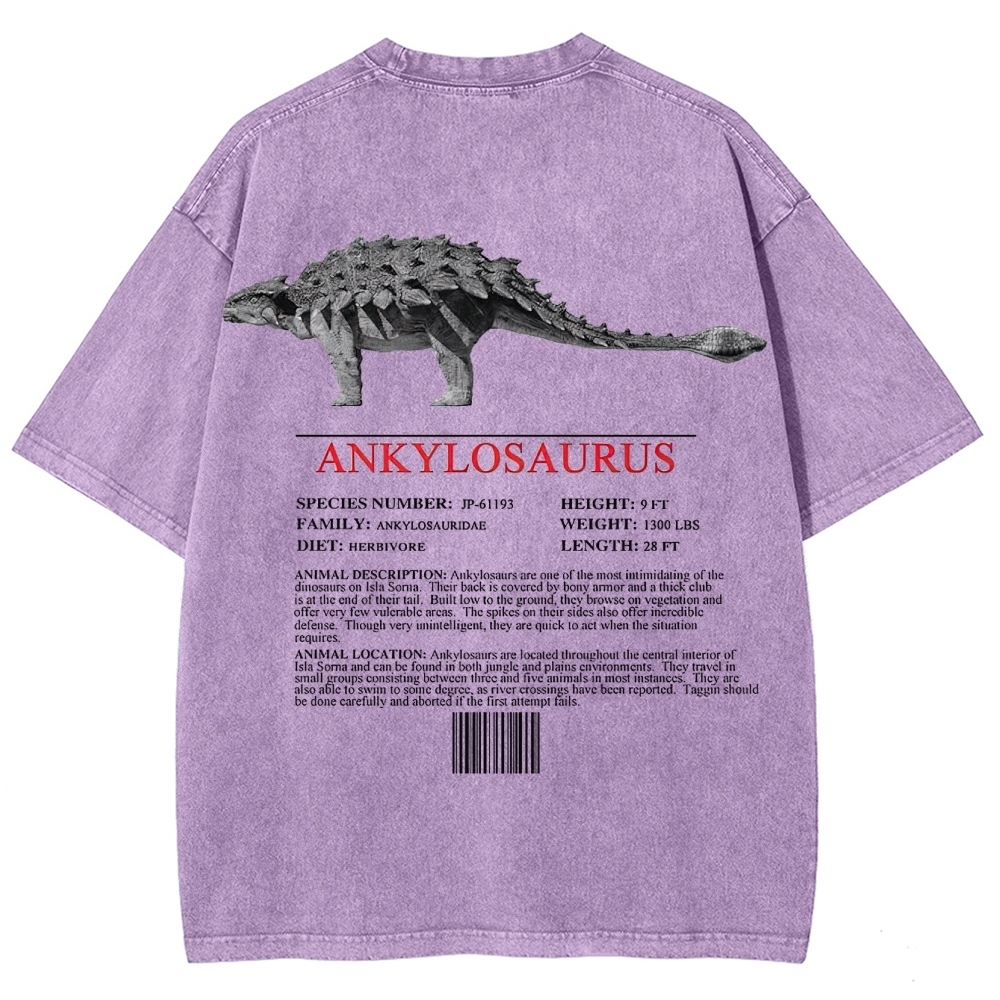 Ankylosaurus Armored Dinosaur Field Log Graphic Washed T-Shirt