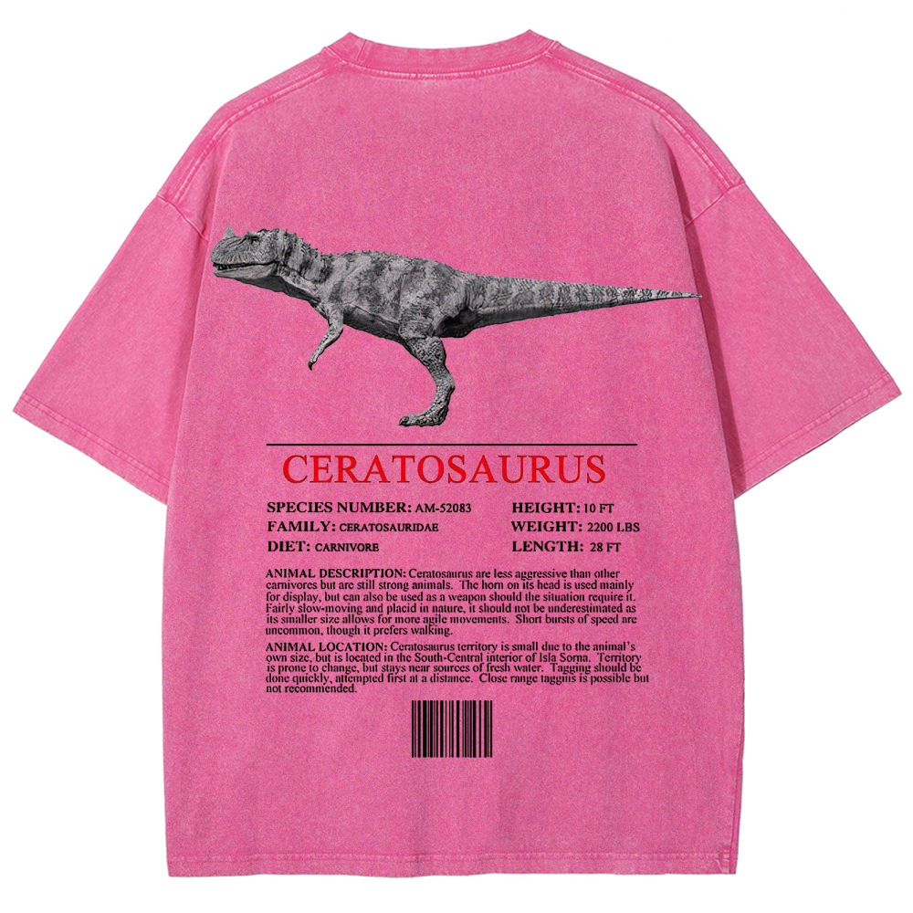 Ceratosaurs Field Log Predator Dinosaur Graphic Washed T-Shirt