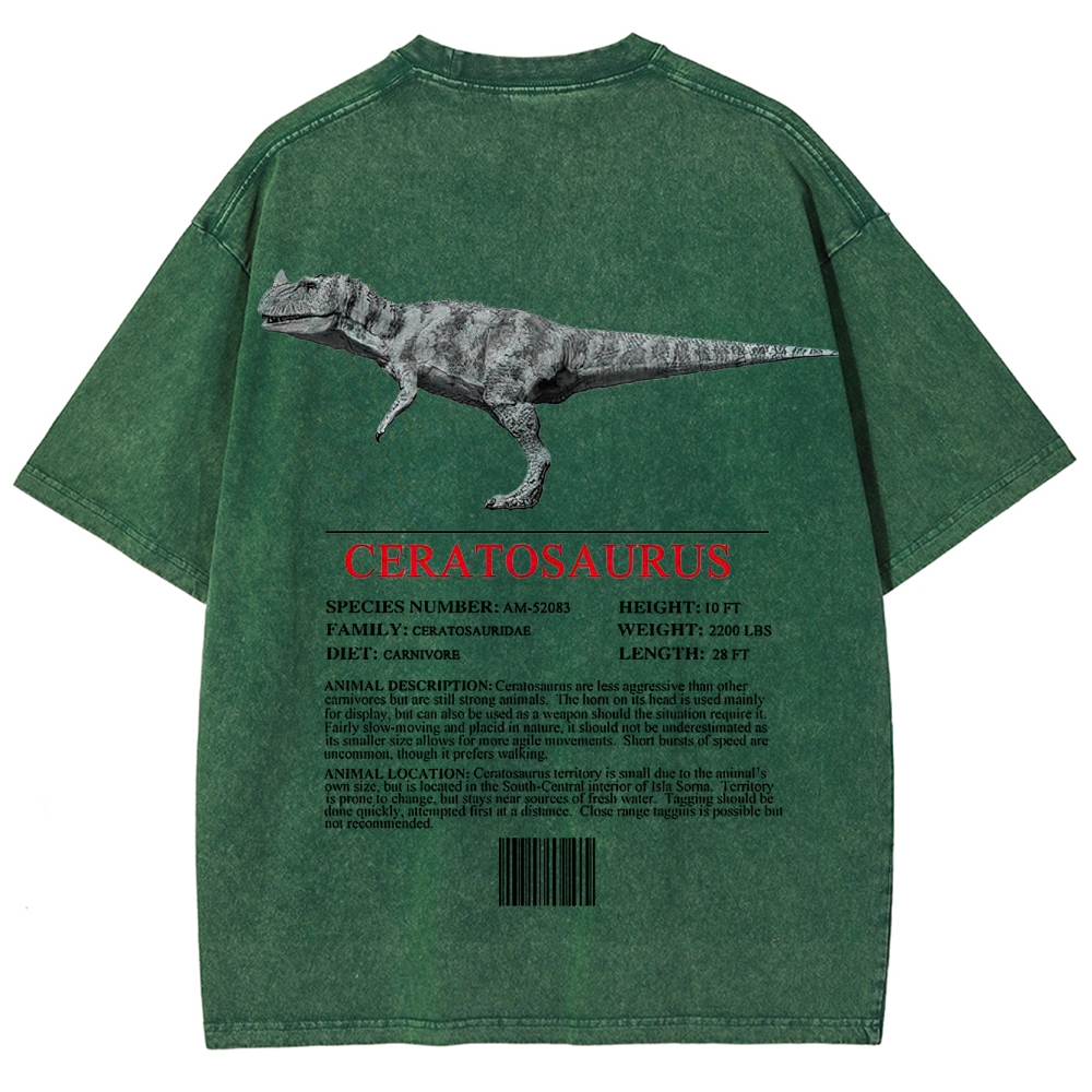 Ceratosaurs Field Log Predator Dinosaur Graphic Washed T-Shirt