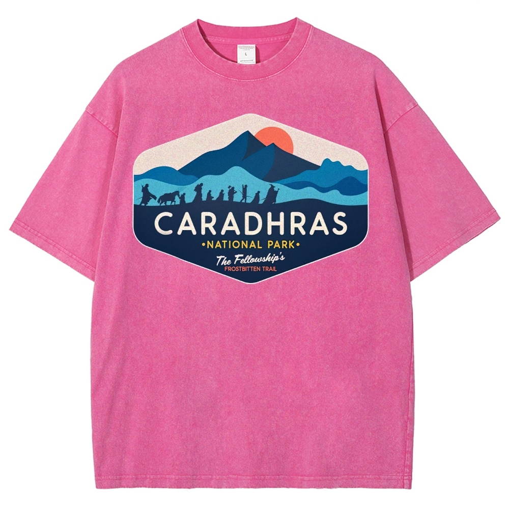 Ice and Snow Expedition Team Washed T-Shirt