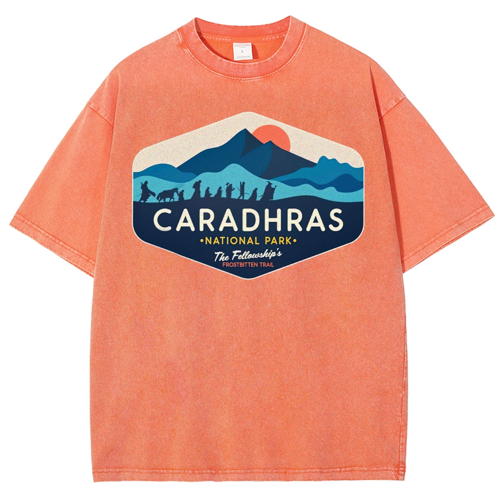 Ice and Snow Expedition Team Washed T-Shirt