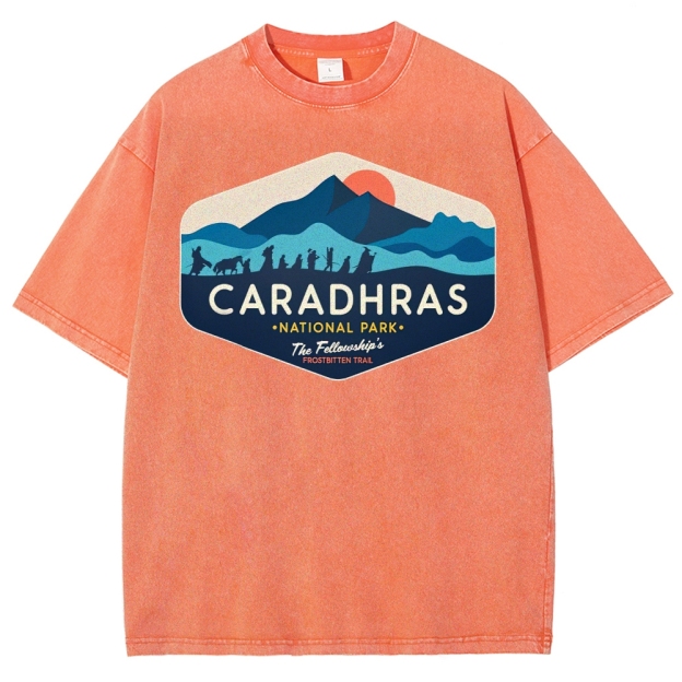 Ice and Snow Expedition Team Washed T-Shirt