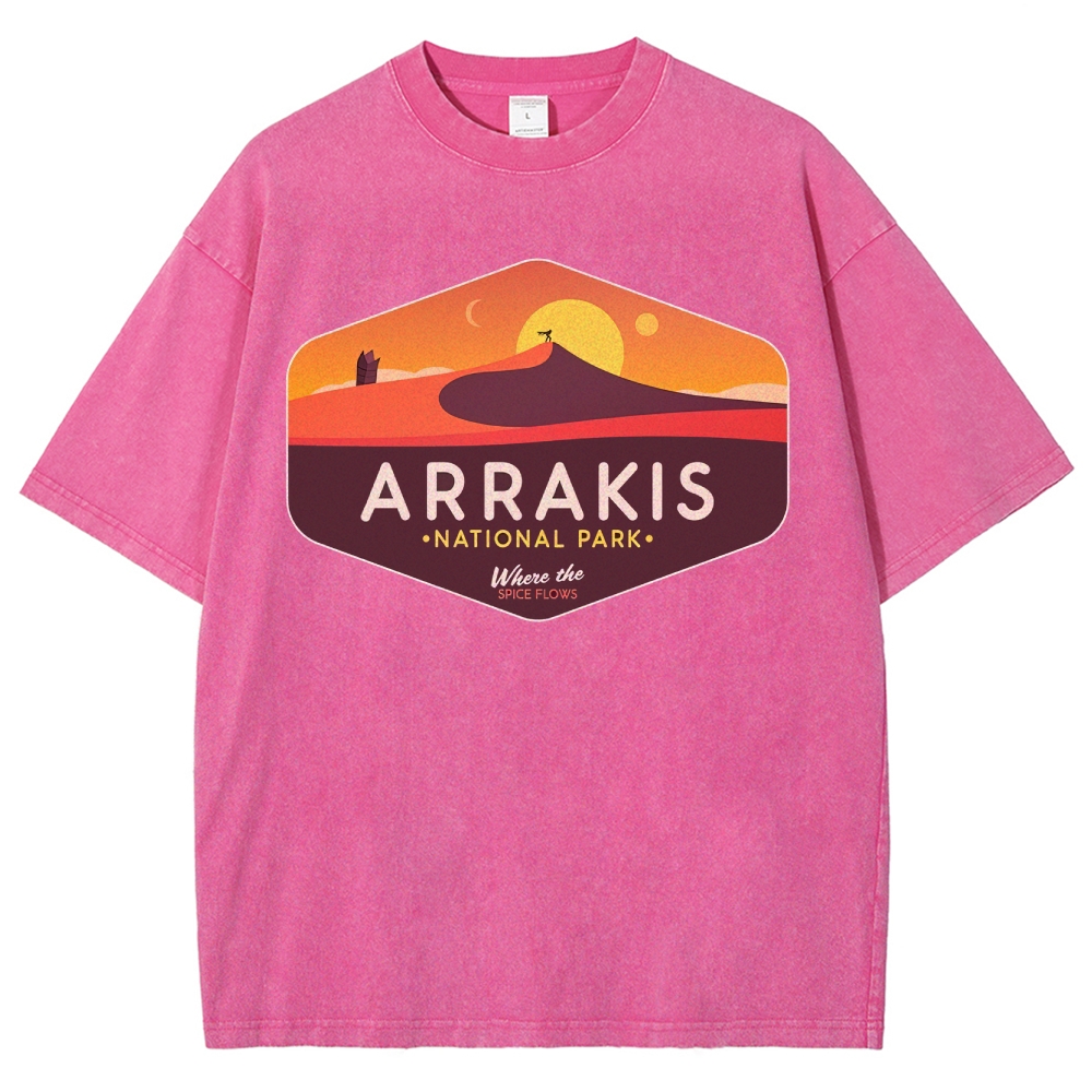 Sunset Desert Flow Washed T-Shirt 