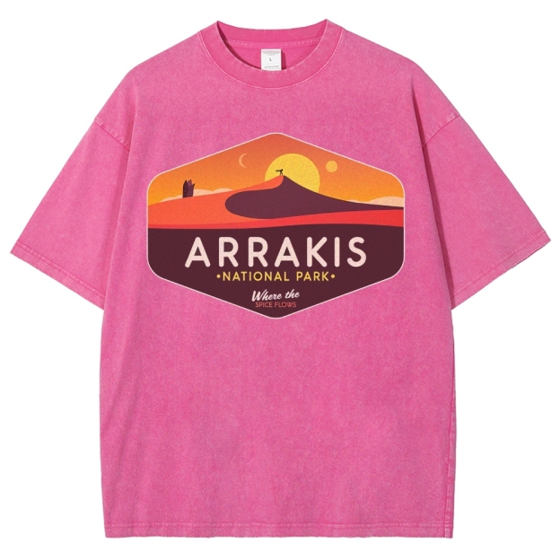 Sunset Desert Flow Washed T-Shirt 