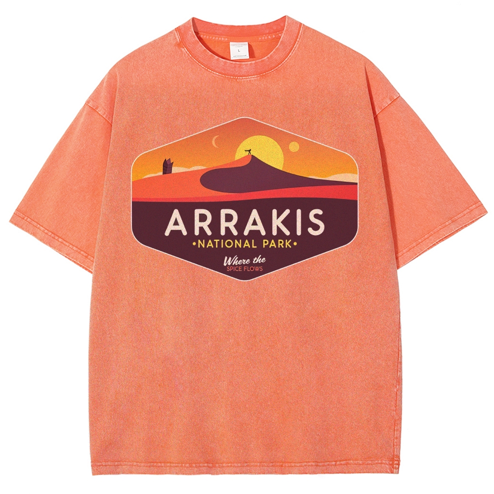 Sunset Desert Flow Washed T-Shirt 