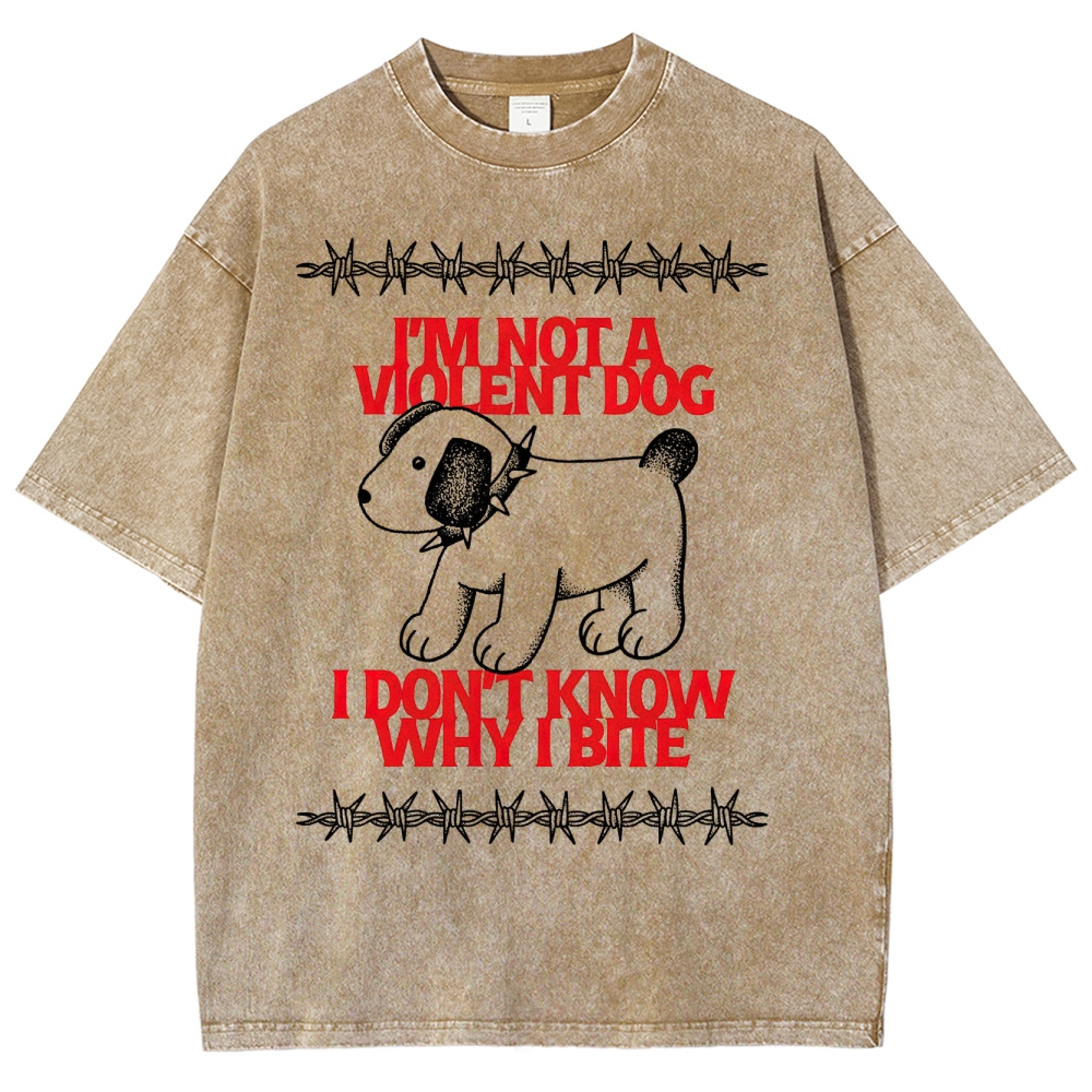 Misunderstanding Dog Washed T-Shirt 