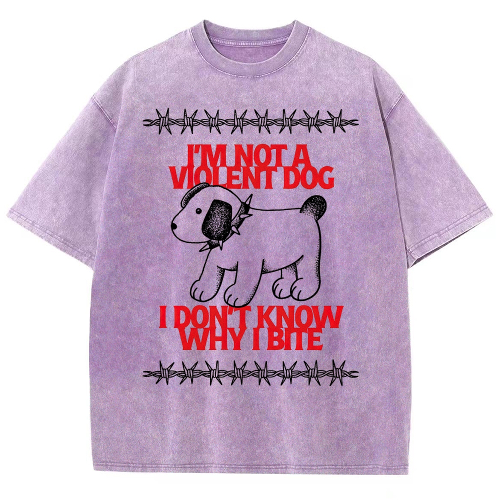 Misunderstanding Dog Washed T-Shirt 