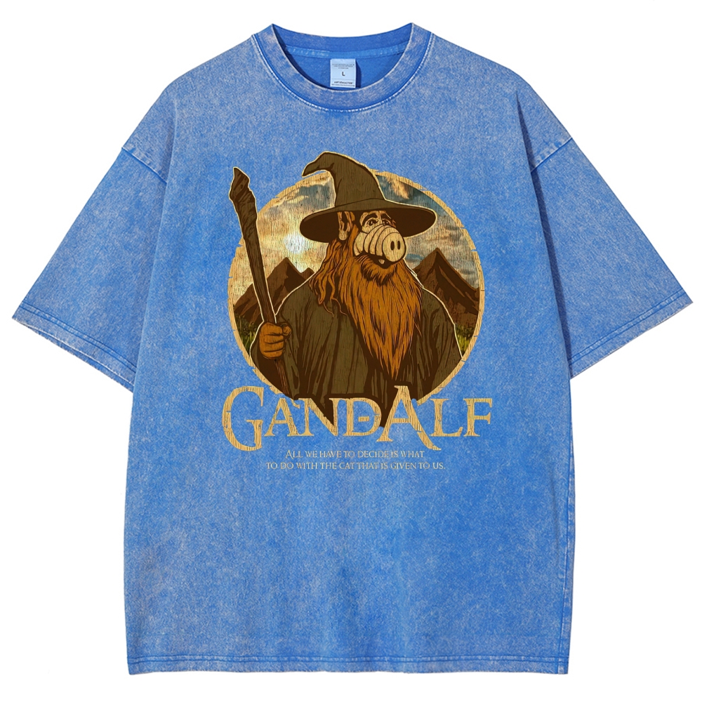 "Gandalf" High-Fantasy Wizard Quote Graphic Washed T-Shirt