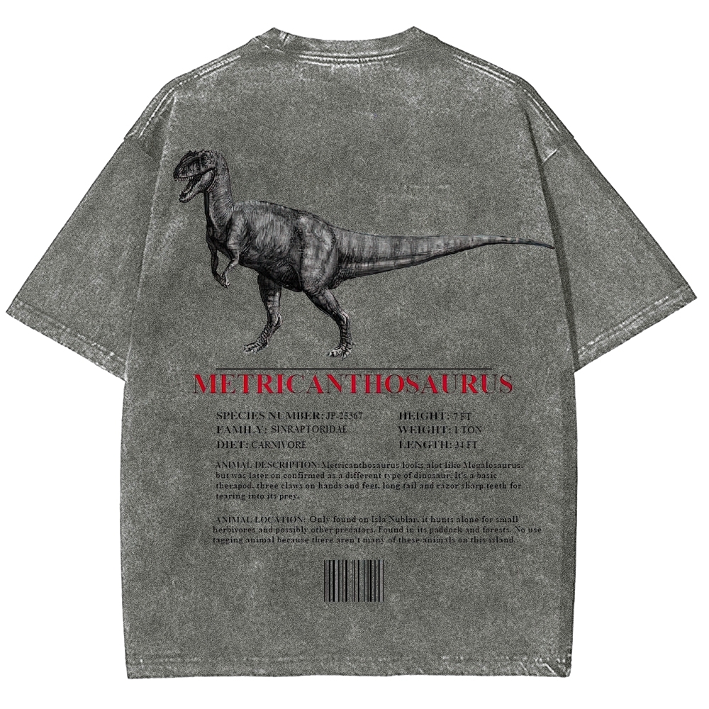 Metricanthosaurus Dinosaur Field Guide Graphic Washed T-Shirt