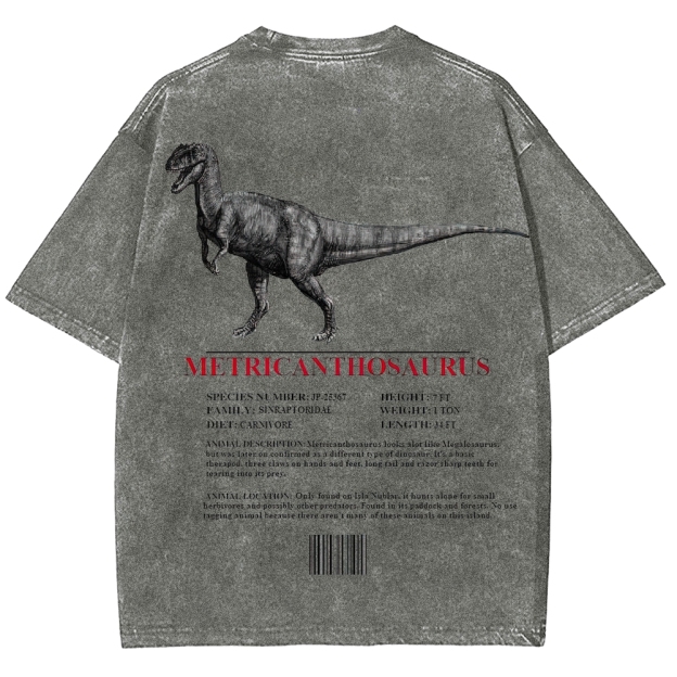 Metricanthosaurus Dinosaur Field Guide Graphic Washed T-Shirt