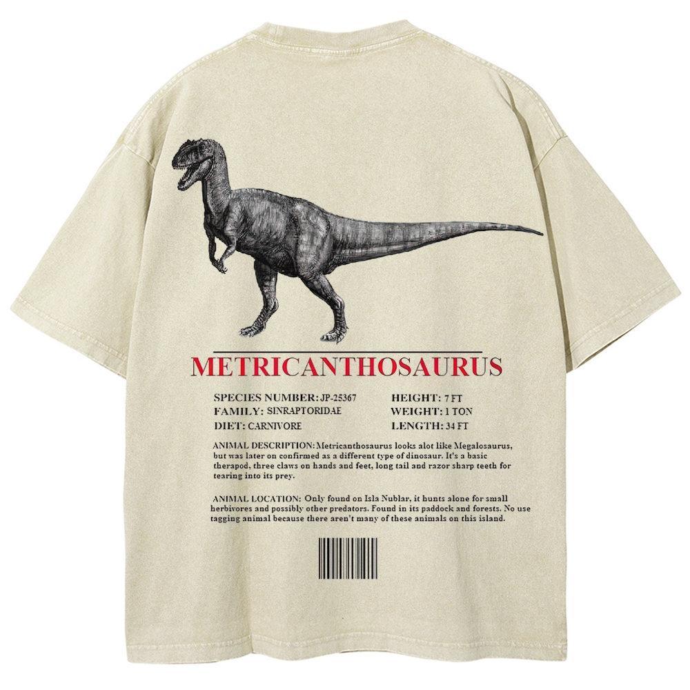 Metricanthosaurus Dinosaur Field Guide Graphic Washed T-Shirt