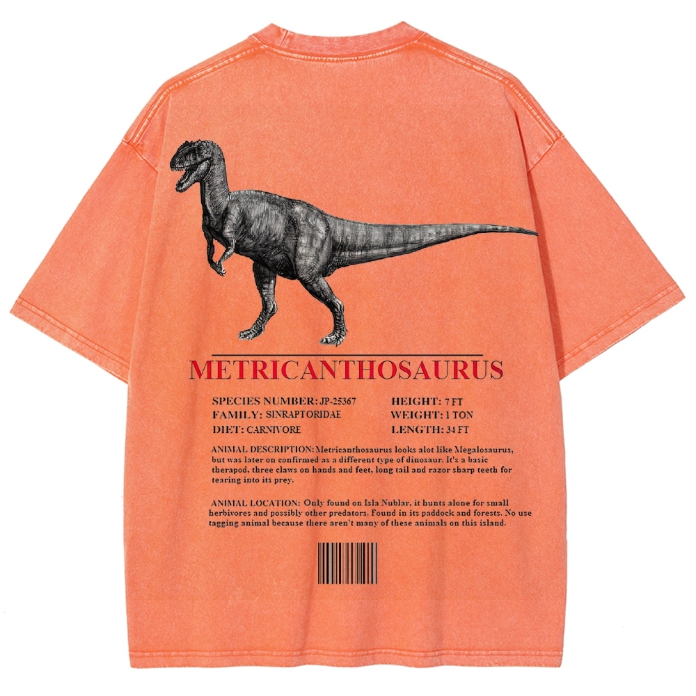 Metricanthosaurus Dinosaur Field Guide Graphic Washed T-Shirt