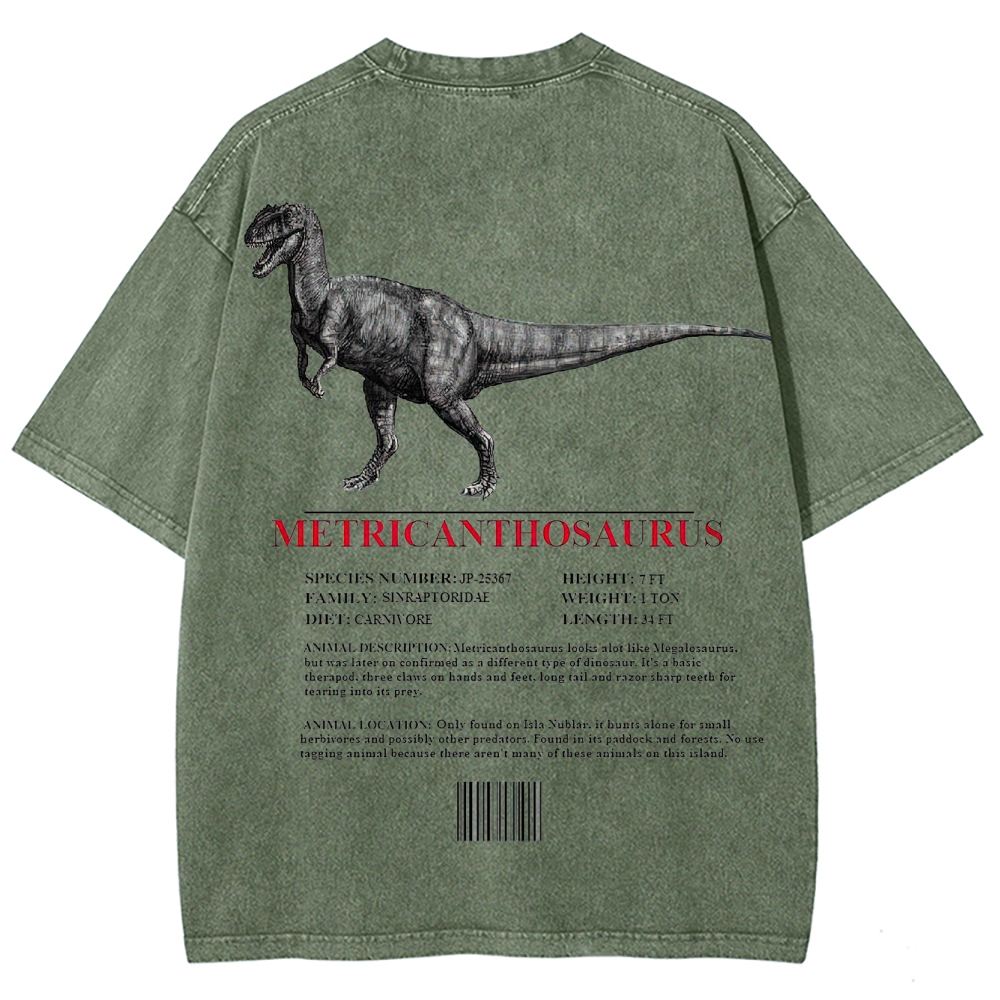 Metricanthosaurus Dinosaur Field Guide Graphic Washed T-Shirt