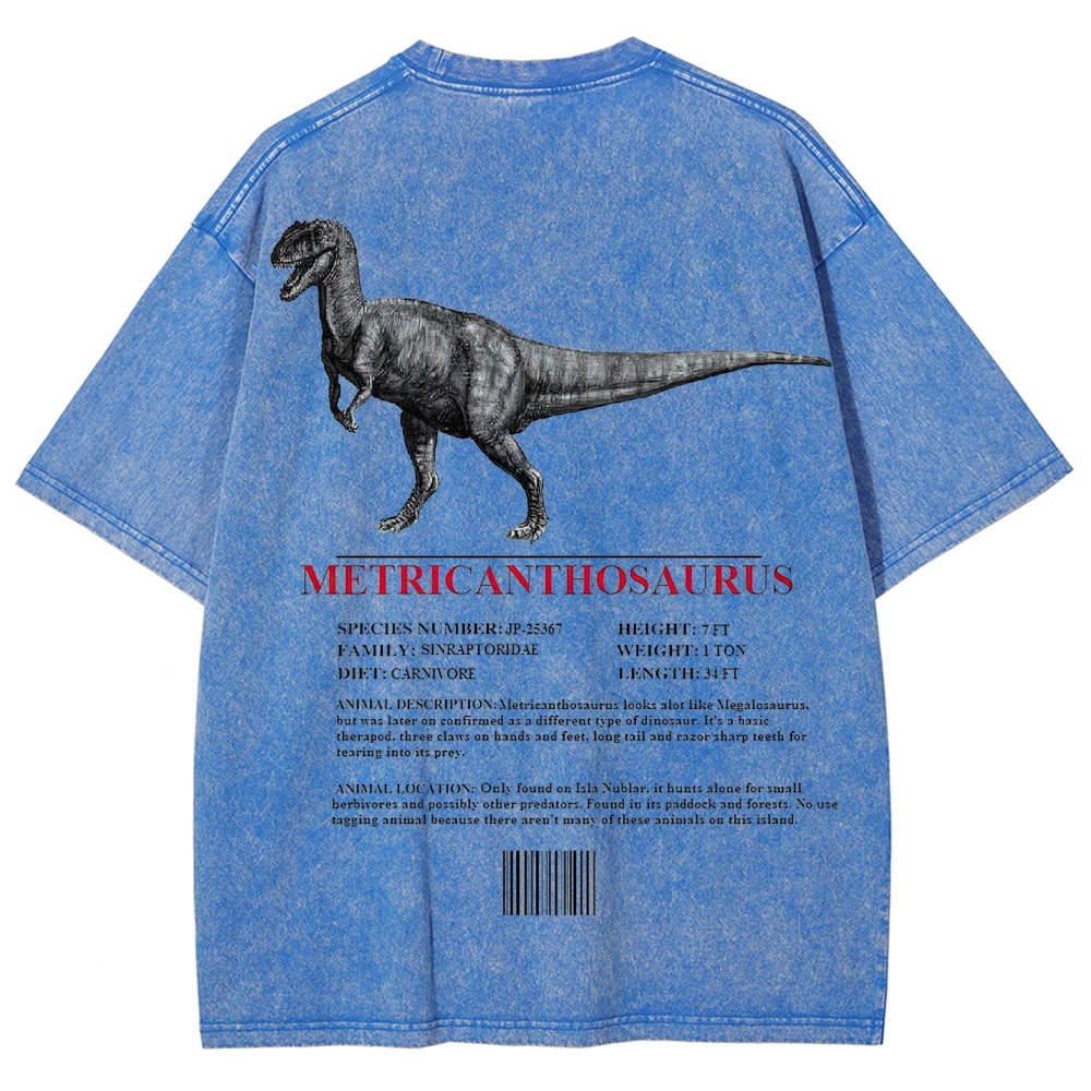 Metricanthosaurus Dinosaur Field Guide Graphic Washed T-Shirt