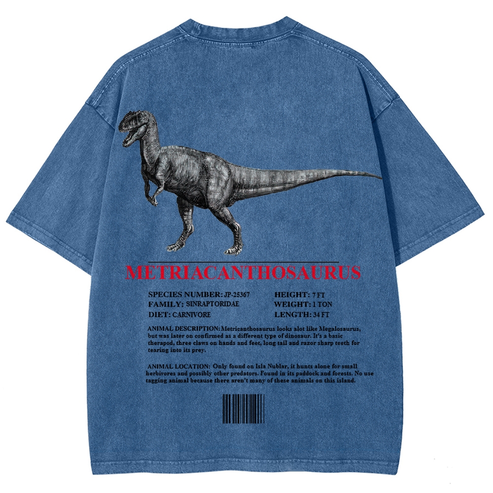 Metricanthosaurus Dinosaur Field Guide Graphic Washed T-Shirt