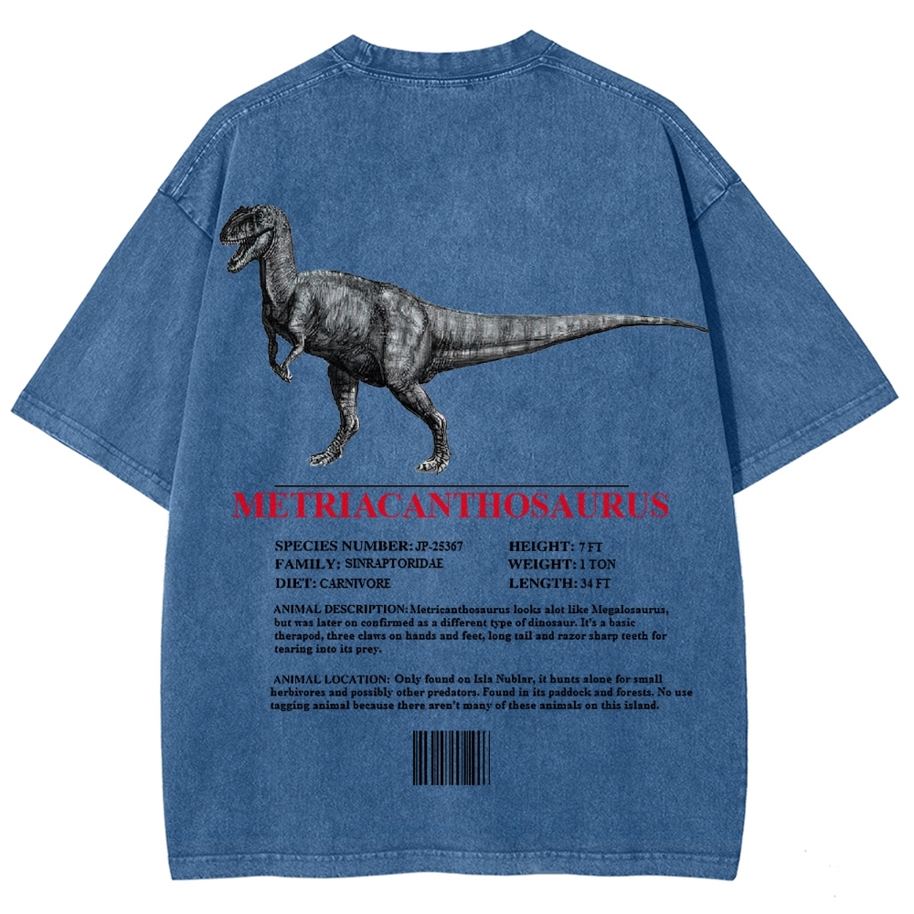 Metricanthosaurus Dinosaur Field Guide Graphic Washed T-Shirt