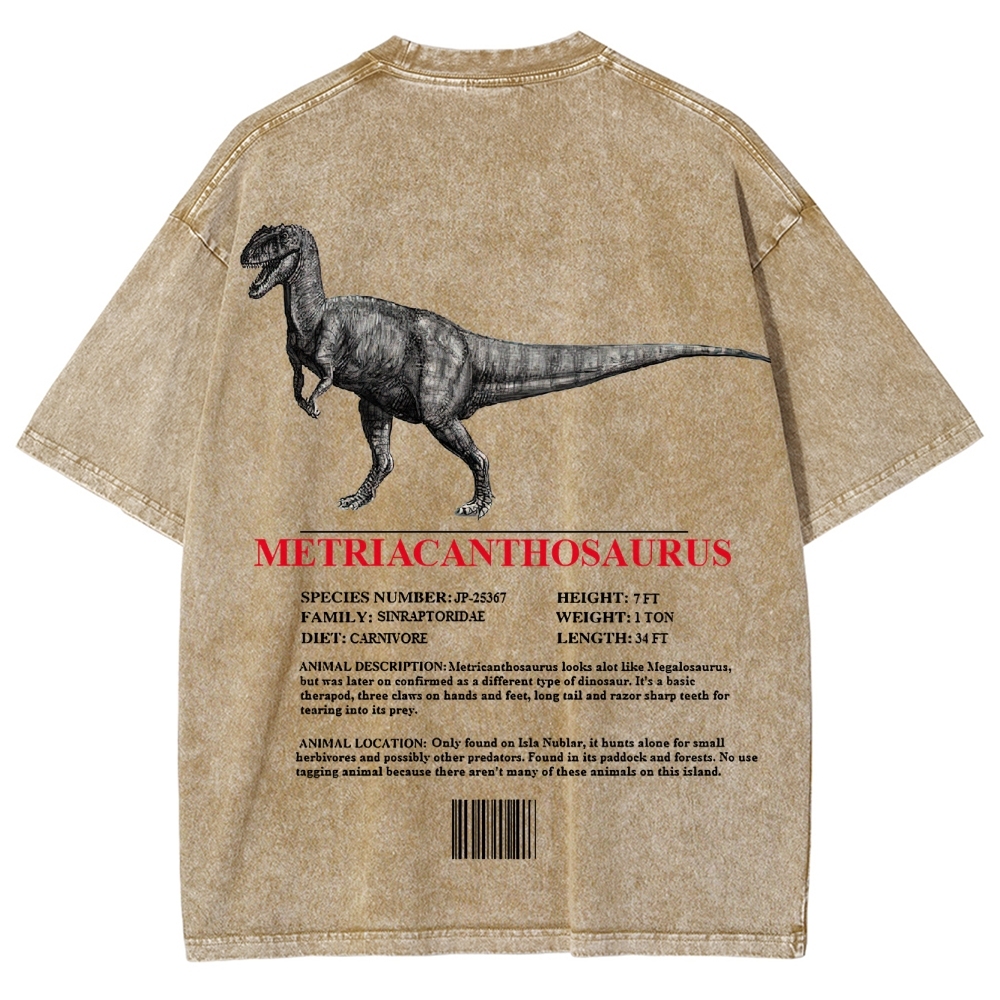 Metricanthosaurus Dinosaur Field Guide Graphic Washed T-Shirt