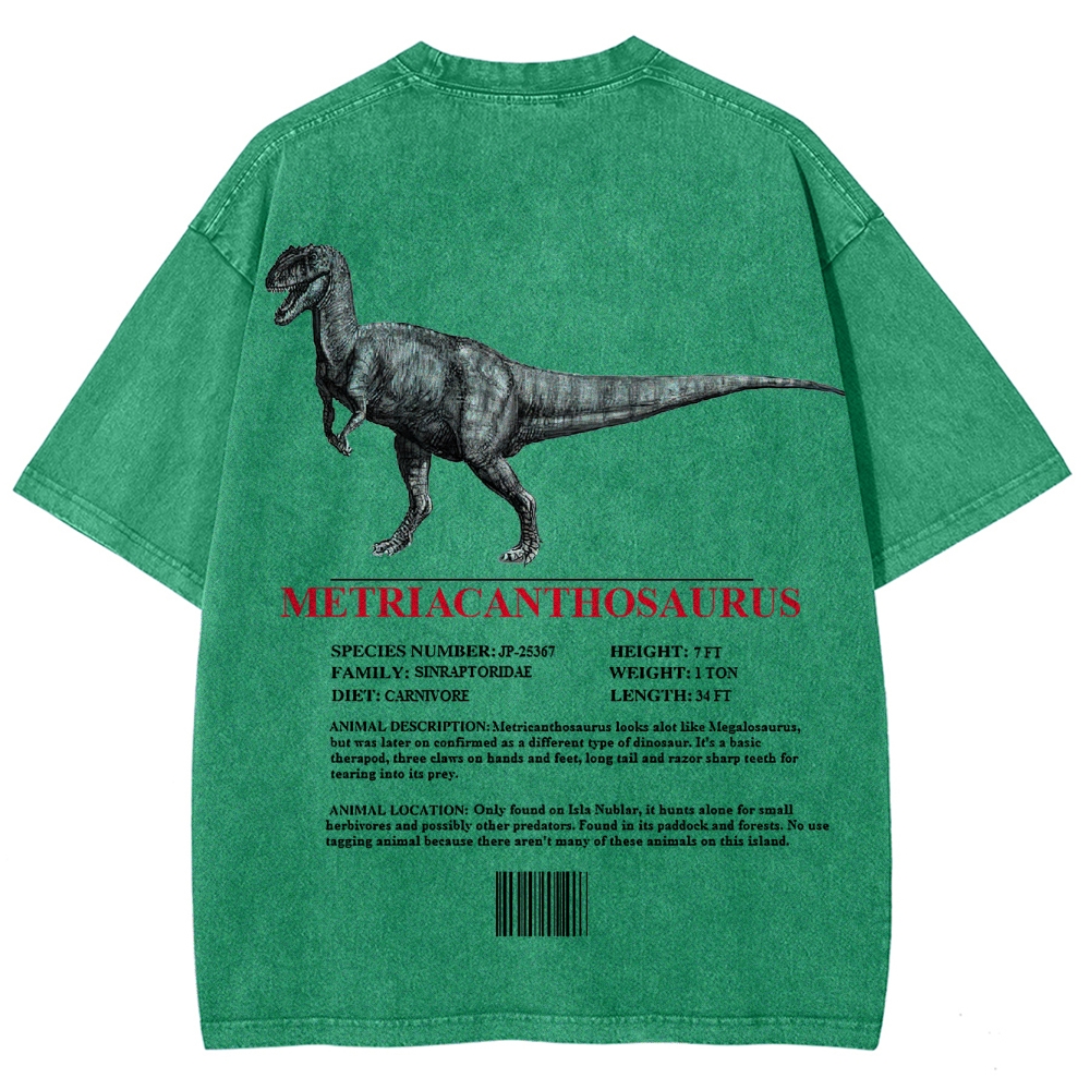 Metricanthosaurus Dinosaur Field Guide Graphic Washed T-Shirt