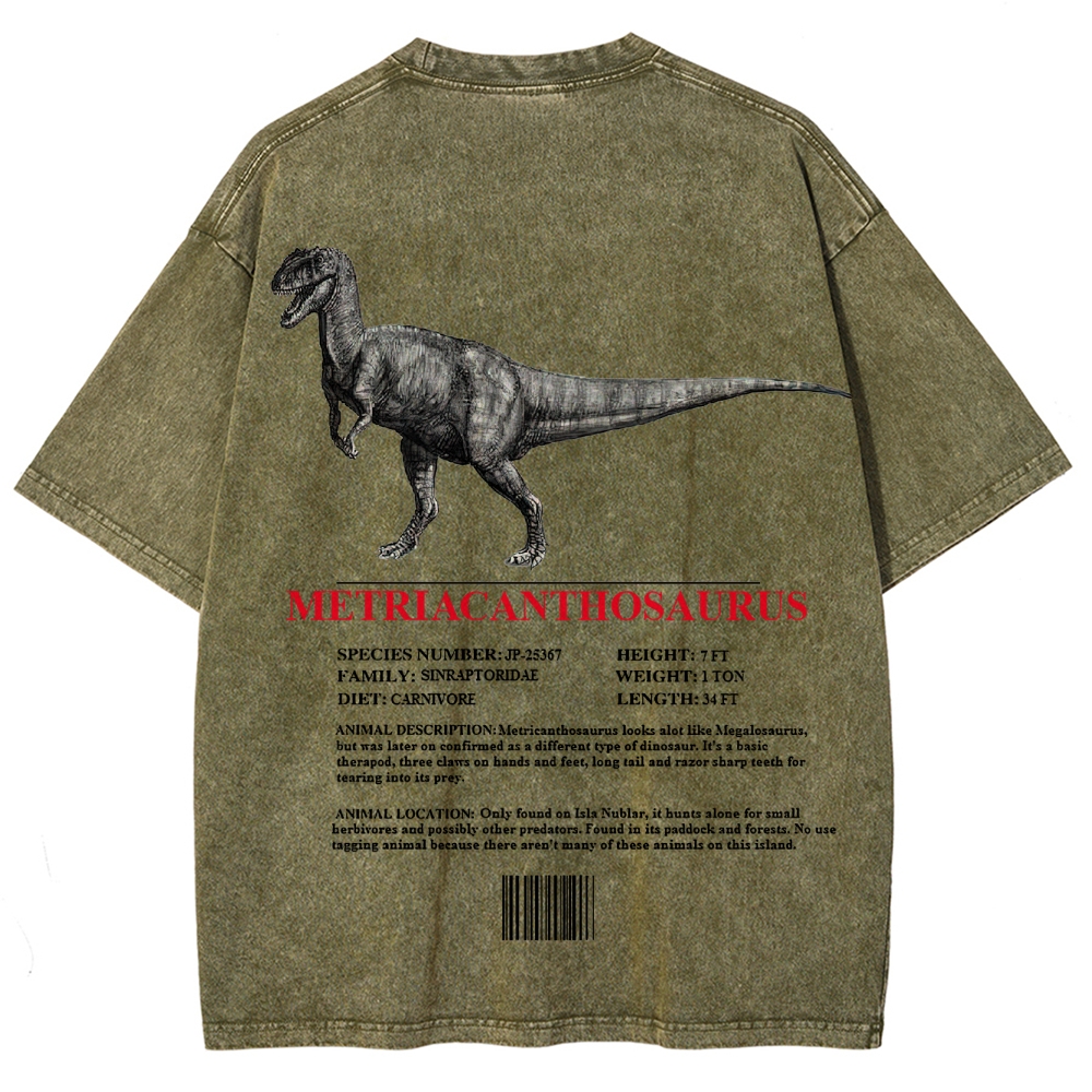 Metricanthosaurus Dinosaur Field Guide Graphic Washed T-Shirt