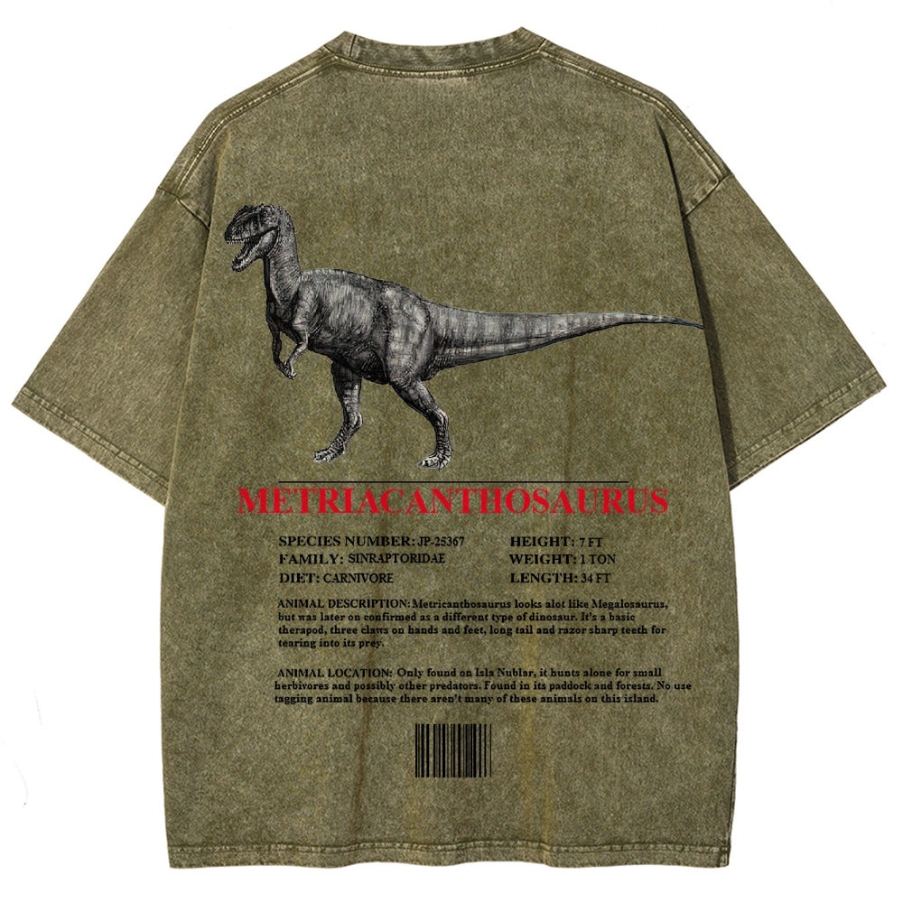 Metricanthosaurus Dinosaur Field Guide Graphic Washed T-Shirt