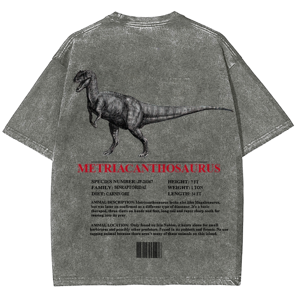 Metricanthosaurus Dinosaur Field Guide Graphic Washed T-Shirt