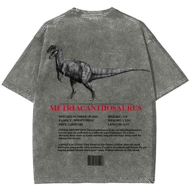 Metricanthosaurus Dinosaur Field Guide Graphic Washed T-Shirt