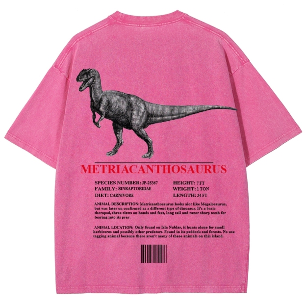 Metricanthosaurus Dinosaur Field Guide Graphic Washed T-Shirt
