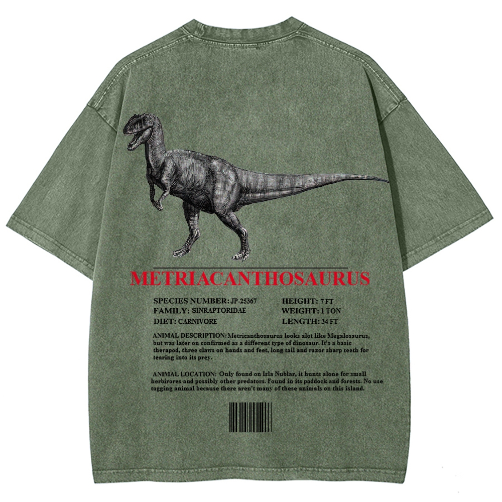 Metricanthosaurus Dinosaur Field Guide Graphic Washed T-Shirt