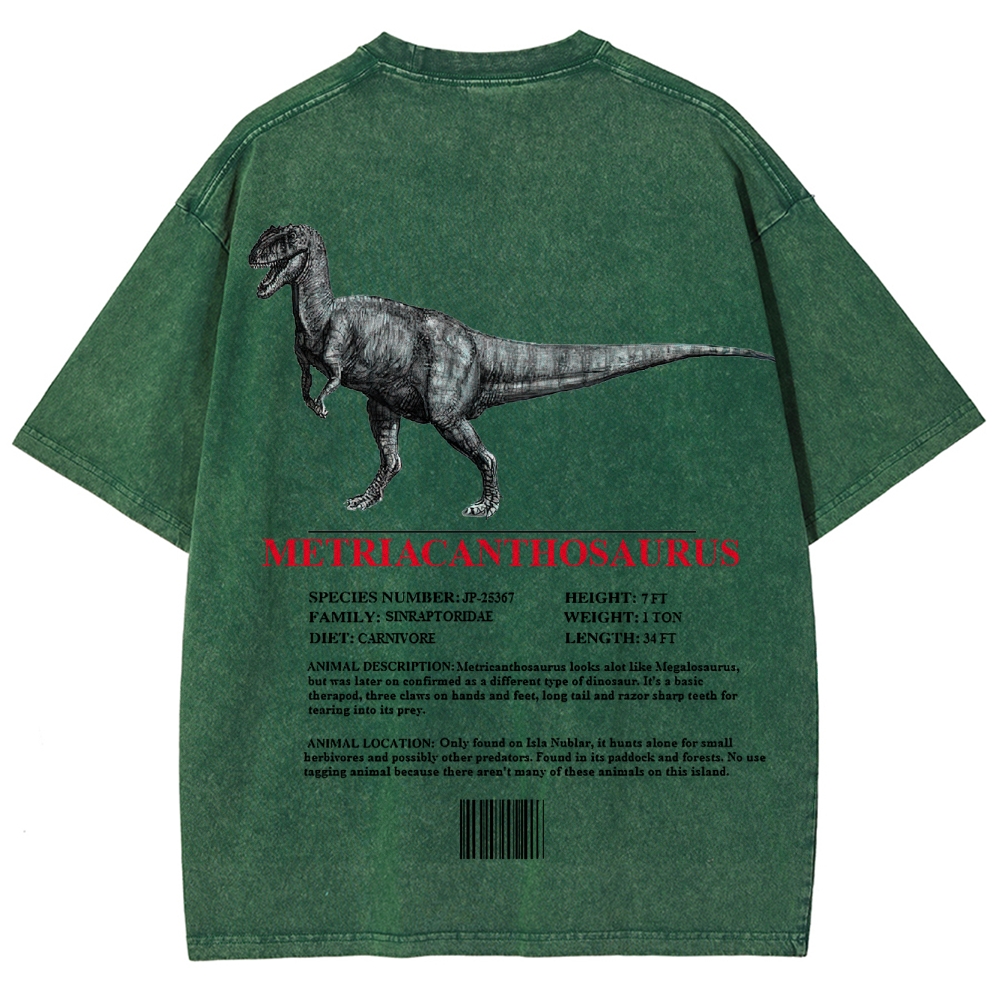 Metricanthosaurus Dinosaur Field Guide Graphic Washed T-Shirt