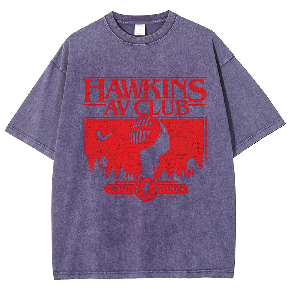 Hawkins AV Club 1983 Graphic Washed T-Shirt